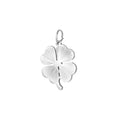 Lucky Charm