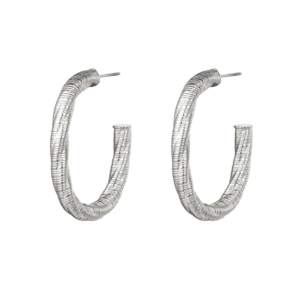 Shiny Elegance Earrings