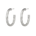 Shiny Elegance Earrings
