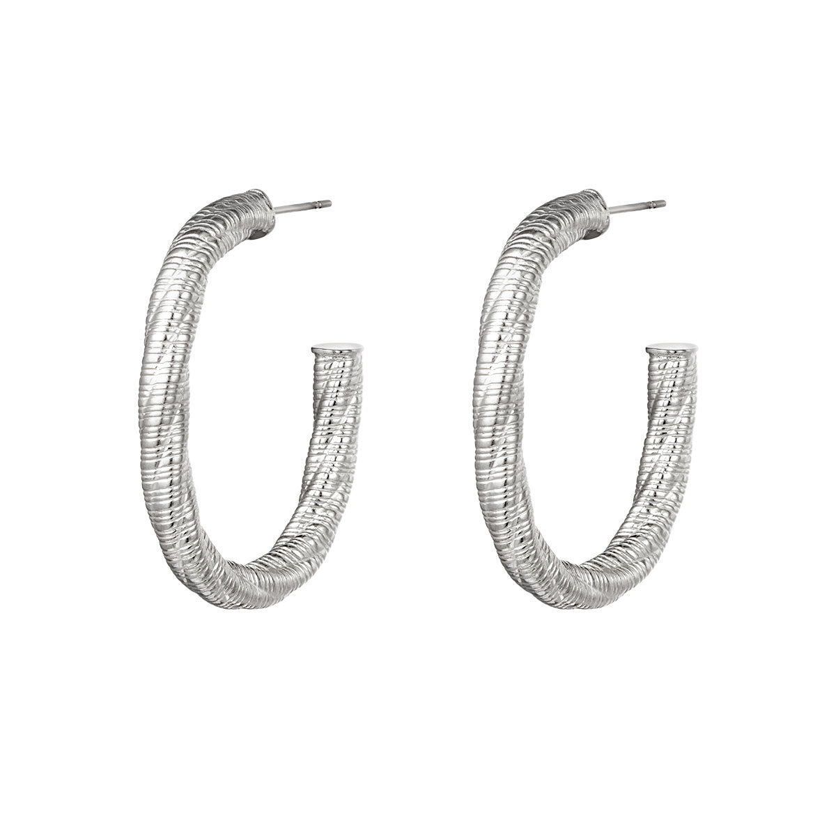 Shiny Elegance Earrings