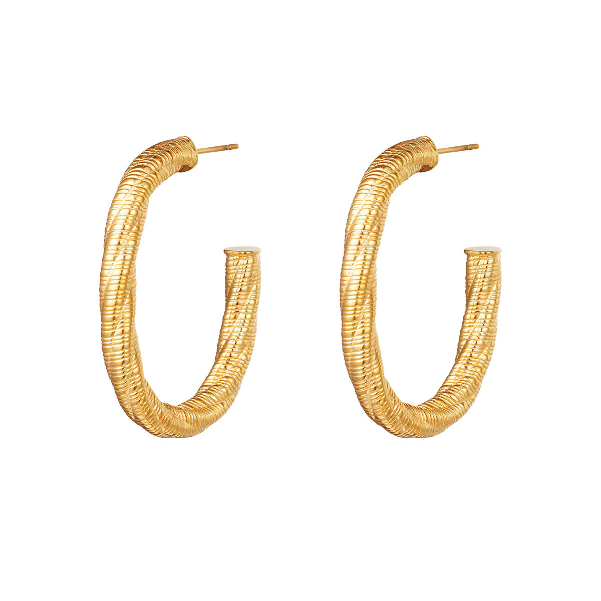 Shiny Elegance Earrings