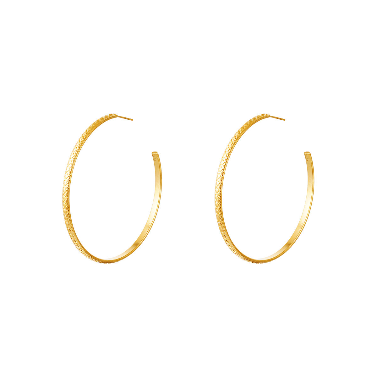 Nitty Gritty Big Creole Earrings
