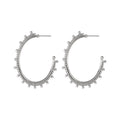 Gorgeous Ethnic Loop Earrings